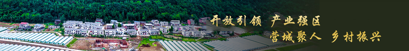 巴中(zhōng)錦彙